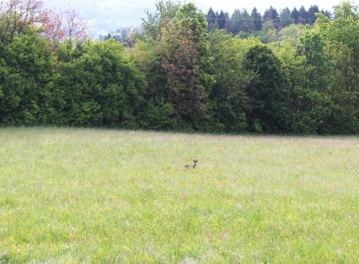 Haus Falle Schiefling am See Exteriér fotografie